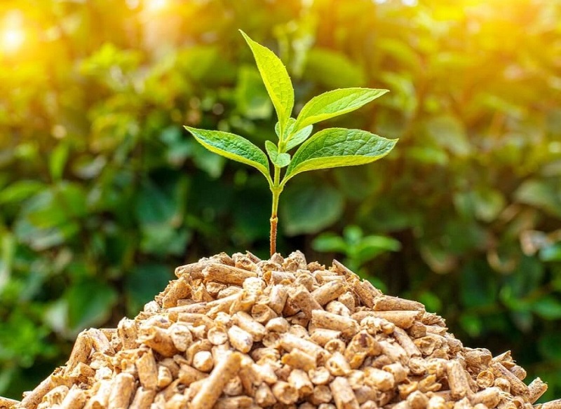 Vận hành lò hơi với nhiên liệu sinh khối